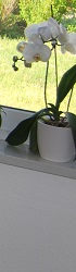 Bild1