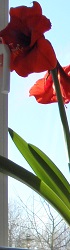 Bild1